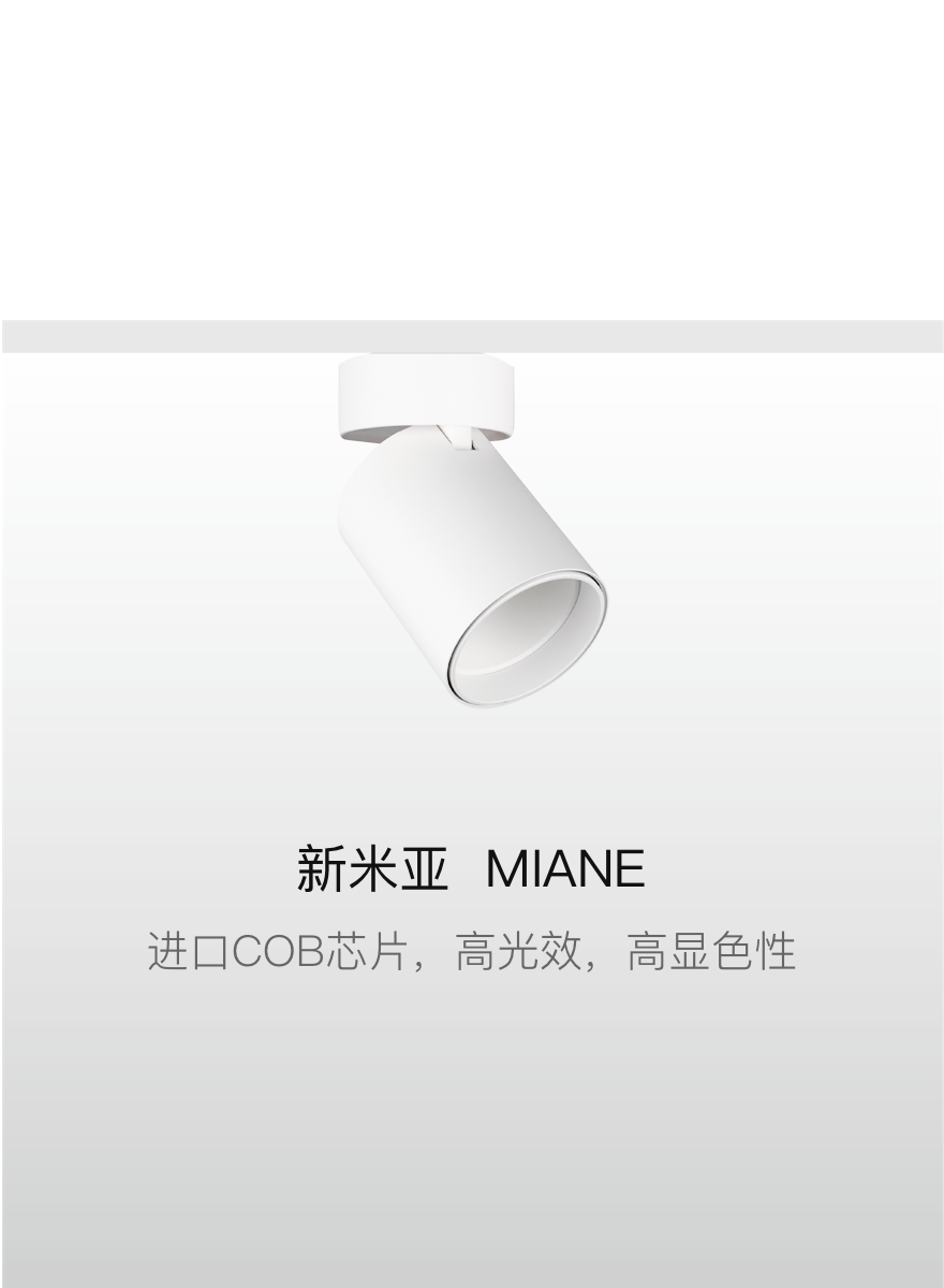 中赛照明子品牌 MIANE 新米亚 标识